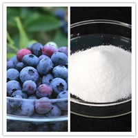 High Purity 20% 98% Pterostilbene (CAS No 537-42-8)