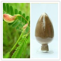 Natural 10:1 or 8% Flavanols Cassia Nomame Extract