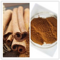 Natural Cinnamon (Bark) Extract with Polyphenols 10% 20% 25%