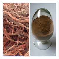 Natural Salvia Miltiorrhiza / Salvia Root Extract 8% Salvianolic Acid B