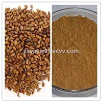 Natural 10: 1 20: 1 Cassia Seed Extract
