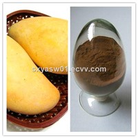 Natural 10:1 20:1 African Mango Seed Extract
