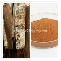 Natural 10:1 20:1 Catuaba Bark Extract