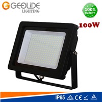 Quality 10W Outdoor LED Floodlight for Park with CE (FL108-10W-100W)