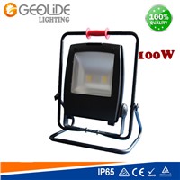 Quality 30W Outdoor LED Floodlight for Park with CE (FL110-WL30W-100W)