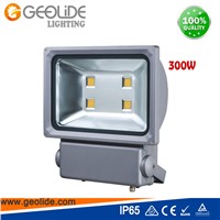 Quality 300W COB Outdoor LED Floodlight for Park with CE (FL103-180W-300W)