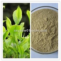 Natural Yerba Mate Extract with 25% Polyphenol 20% Tannin Acid
