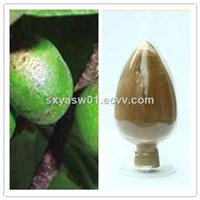 Natural Pygeum Africanum Extract 13% Phytosterols