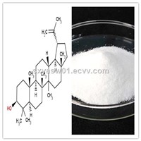 Natural 99% Lupeol (CAS No 545-47-1)