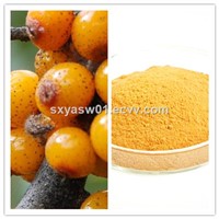 Natural 98% Isorhamnetin CAS No 480-19-3