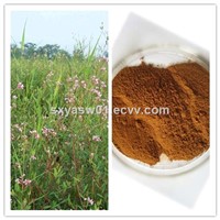 Natural Treat Cold 10: 1 20: 1 Apocynum Venetum Extract