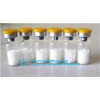 99% White Powder Mgf for Body Building