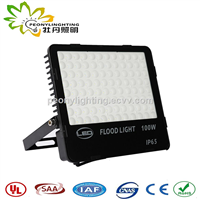 100W Ultrathin LED Black Color Shell Flood Light, More LED Chip Flood Light with White Color