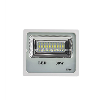 Promotion Sale Exw Price 30W LED Flood Light, SMD 30W LED Project Light