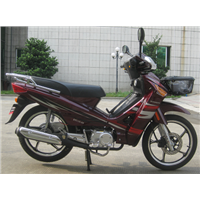 Brand New 110cc CUB Motorcycles