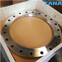 DIN EN1092-1 Stainless Steel SS304 Plain Flange