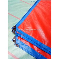 PE Tent, Tarpaulin Canvas, Blue Color 60gram/Sqm Tarpaulin Manufacture
