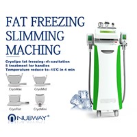 Professional Best Price Cool Technology Body Slimming Weight Loss Cryolipolysis Machine with CE Certificattion