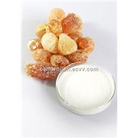 Guangzhou Factory Supply Spray Dried Arabic Gum Powder(Acacia Senegal)