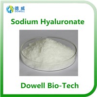Hot Selling Food/Cosmetic Grade Sodium Hyaluronate Powder