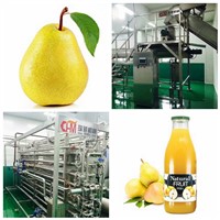 Turnkey Pear Juice Processing Line