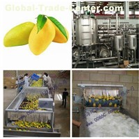 Mango Jam & Paste Processing Line
