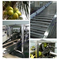 Automatic Coconut Juice Processing Line