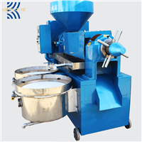 Factory Offer Essential Virgin Oil Extracting Machine / Oil Extractor