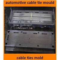 Automotive Auto Car Plastic Nylon Zip Seal Cable Ties Injection Moulds Mould Molds