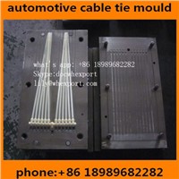 High Quality Plastic Injection Moulds Molds Mould for Nylon Cable Ties