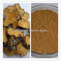 Natural 10:1 20:1 Rhizoma Atractylodis Extract