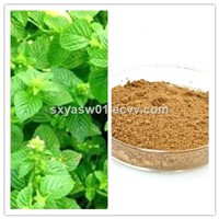 Natural 10:1 20:1 Clinopodium Extract