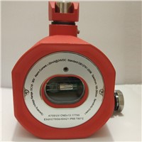 Dry Contact Explosion-Proof UV Flame Detector UV Fire Alarm with Relay Output EXdIICT6