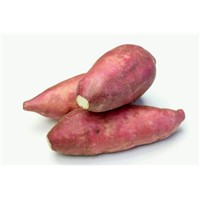 Factory Supply 4:1 Natural Sweet Potato Extract, Sweet Potato Powder