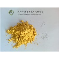 Natural Hippophae Rhamnoides Linn. Ingrdient Sea Buckthorn Powder