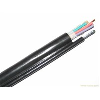 Pendant Cable for Crane, Round Cable for Crane ( RVV1G 12C*1.0MM)