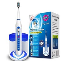 Rechargeable Sonic Electric Toothbrush with UV Sanitizer