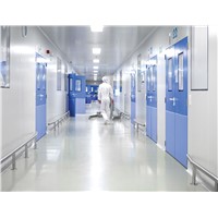 GMP Complying Clean Room Metal Flush Swing Door for Food Or Pharmaceutical Industries