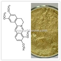 Natural Common Fibraurea Stem Extract Palmatine / Fibrauretin (CAS No 3486-67-7)