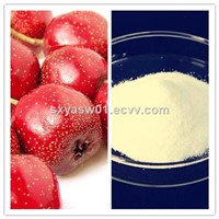 Natural Hawthorn Extract 98% Vitexin (CAS No 3681-93-4)