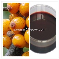 Natural Seabuckthorn Berry Oil / Seabuckthorn Seed Oil
