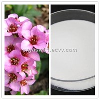 Natural Bergenia Purpurascens Extract CAS No 477-90-7 98% 99% Bergenin
