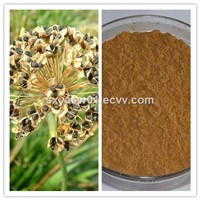 Natural 10: 1 20: 1 Leek Seed Extract