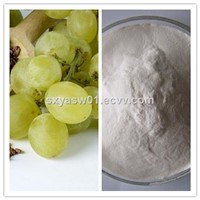 Natural Freeze Dry / Spray Dry Grape (Juice) Powder