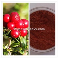Natural High Quality Anti Cancer Cranberry (Juice) Powder