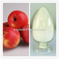 Natural Rich in Dietary Fiber Apple (Juice) Powder