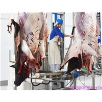 Hydraulic Type Cattle Skin Removed Machine Slaughterhouse Equipments