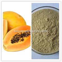 Natural Useful Papaya (Juice) Powder