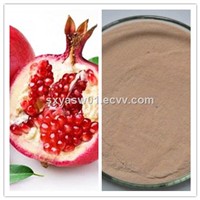 Natural Anti Cancer Pomegranate (Juice) Powder