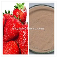 Natural Ice Cream Raw Material Strawberry (Juice) Powder